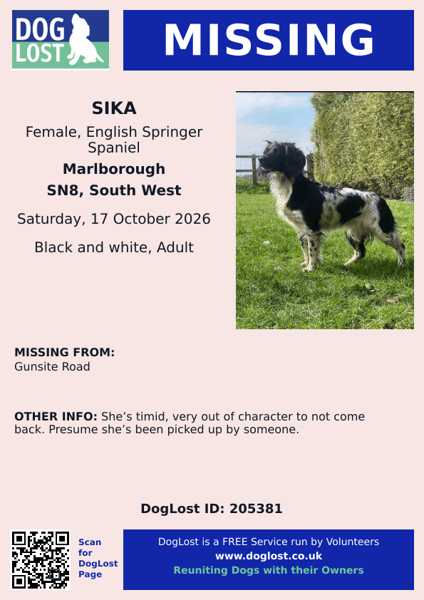 millypod1's tweet photo. 🆘17 OCT 2026 #Lost Sika #ScanMe #STOLEN??
English Springer Spaniel Female
Gunsite Road #Marlborough #Wiltshire #SN8
She’s timid, very out of character to not come back. Presume she’s been picked up by someone.
https://t.co/vnCeMqAKC3 https://t.co/SSsTscFW9c