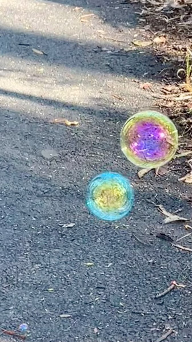89Franc's tweet photo. Following a stream of bubbles down the trail. https://t.co/5AkwdWL6QE