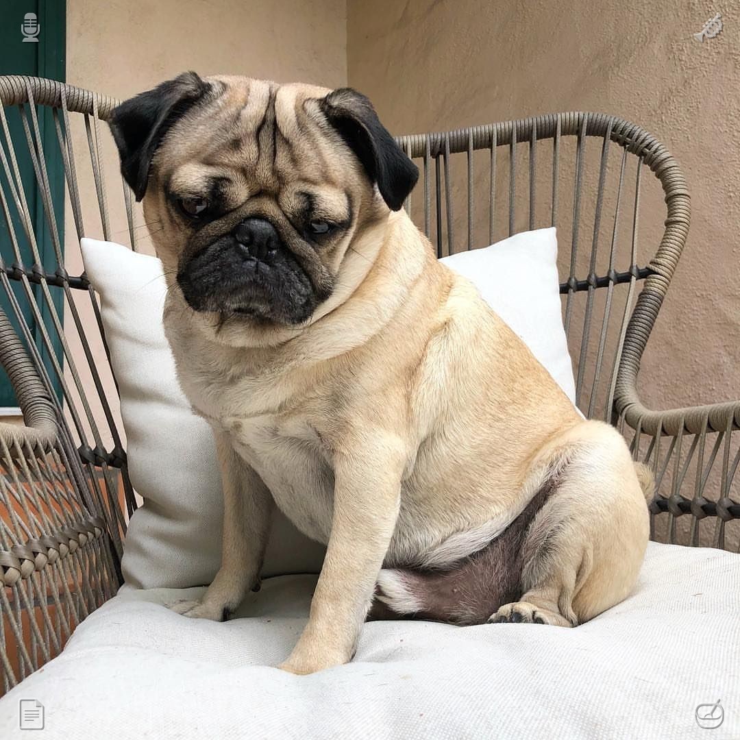 melonlesslord's tweet photo. Strive to make each relationship genuine and wholesome. Never put off significant plans until some vague future day—tomorrow is never promised; seize the limited time you have today to take concrete steps and steer clear of endless regret later on. https://t.co/1NxWJbhaYW