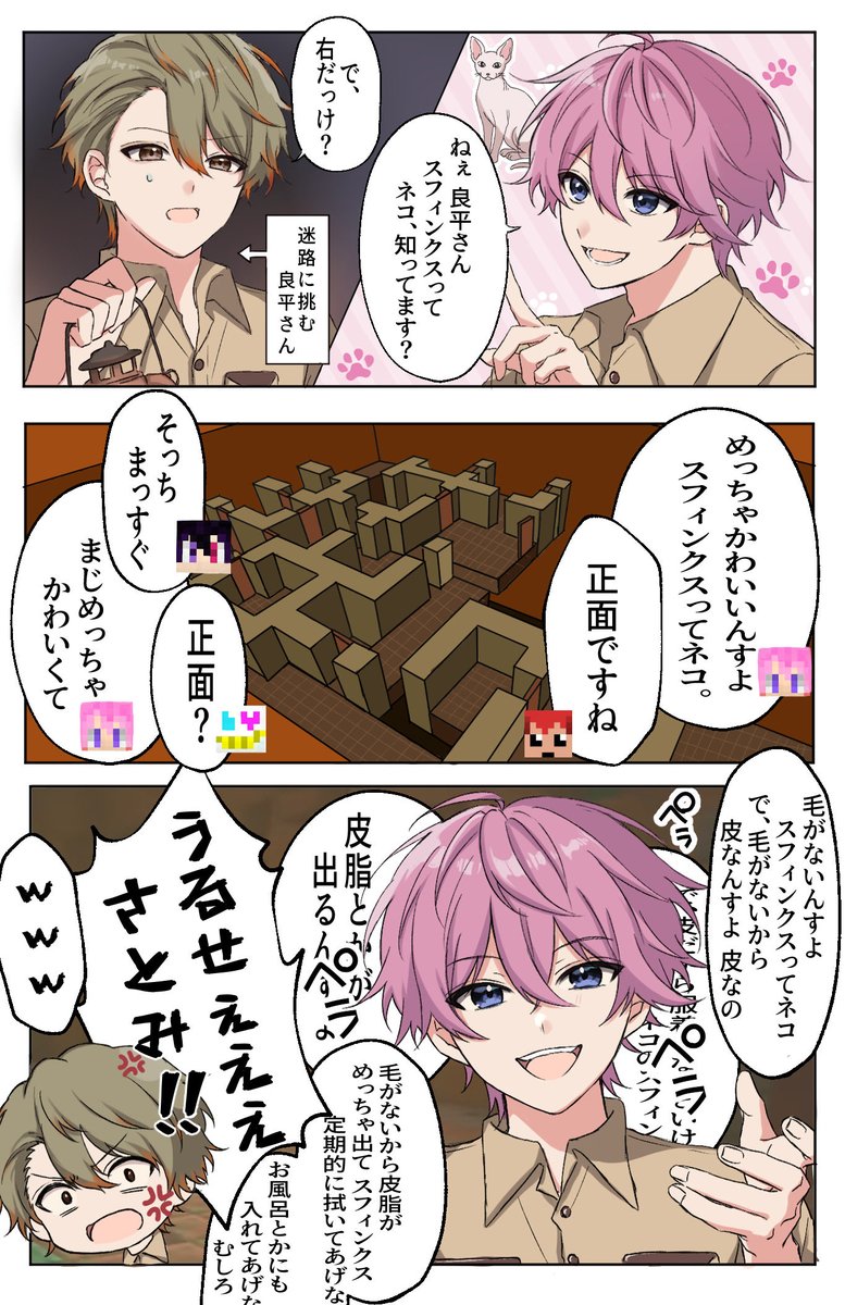 amo_OwO's tweet photo. スフィンクスってネコ https://t.co/vYJahJOHK2