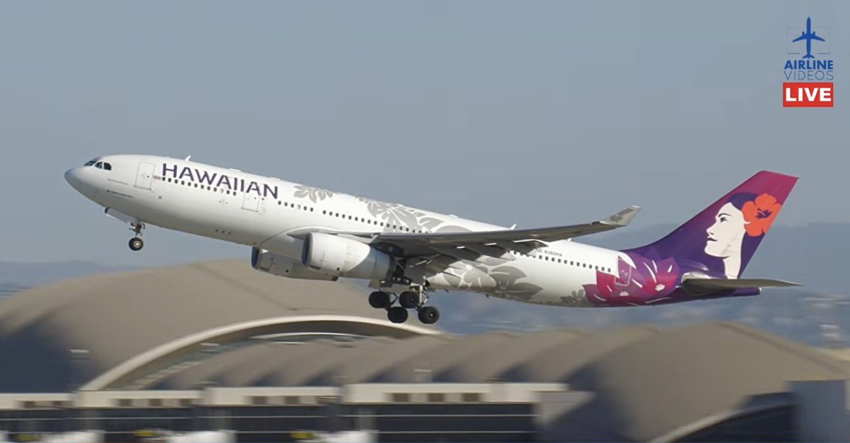airlinevideos's tweet photo. UP-CLOSE ✈️ sights &amp; sounds ALL DAY - LIVE from beautiful Los Angeles 🌴☀️ Join us for non-stop LAX airport action! Click the link ⤵️

🔴LIVE LOS ANGELES (LAX) AIRPORT ACTION! (October 18th, 2026) https://t.co/vzE2CrjVDA via @YouTube https://t.co/YdgzzbPzom