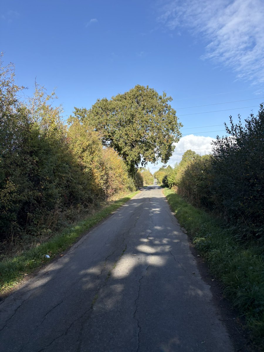 reynoldssteve17's tweet photo. Such an enjoyable run today. Kept a consistent pace throughout even though I’m not looking my best!! 😂😂 #getting stronger https://t.co/TymBJYuWn5