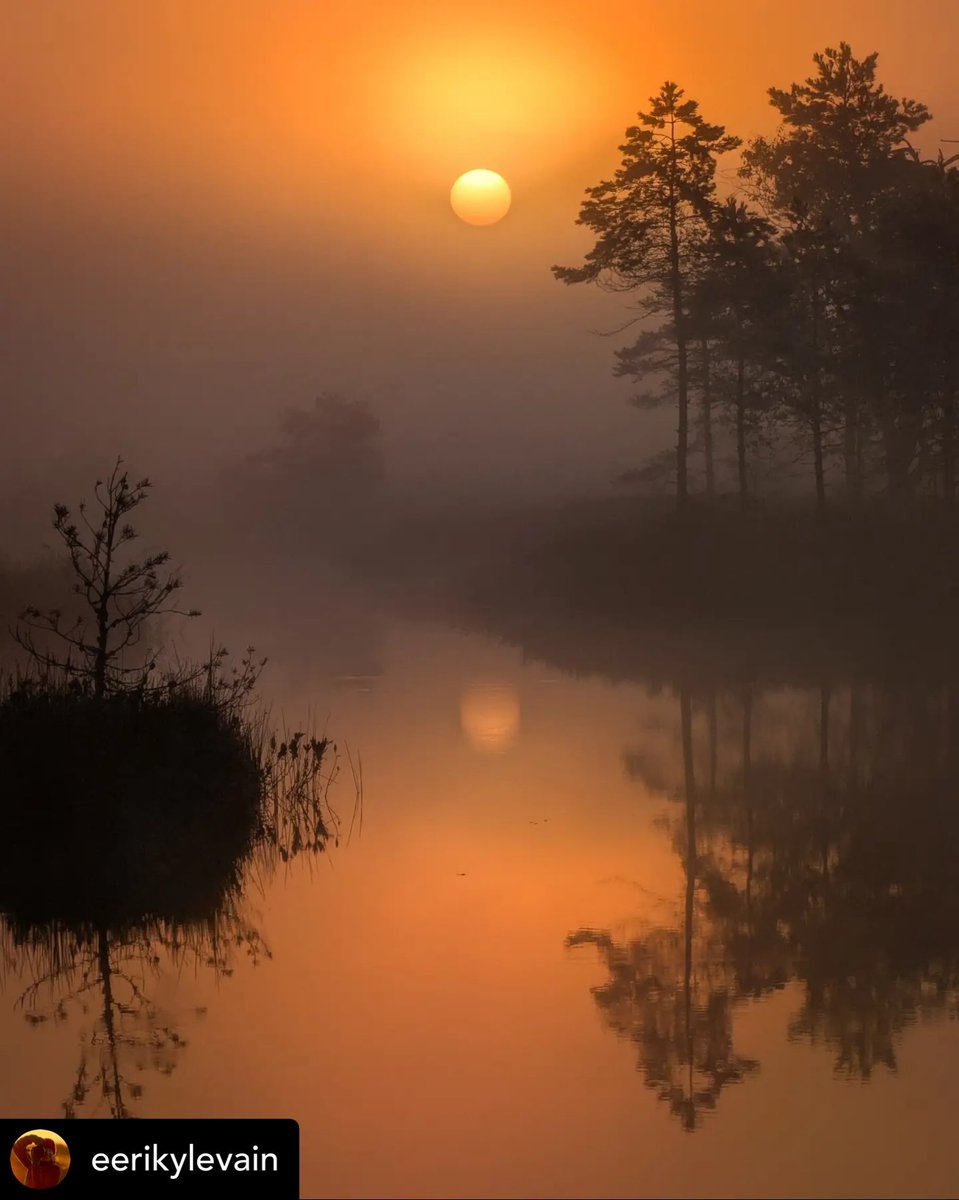 ysalebru's tweet photo. In Estonian mythology, bogs are more than mud and water: mystical borderlands where morning mist over laukad was seen as the breath of ancestors watching over the land. https://t.co/vXgllcZr6E