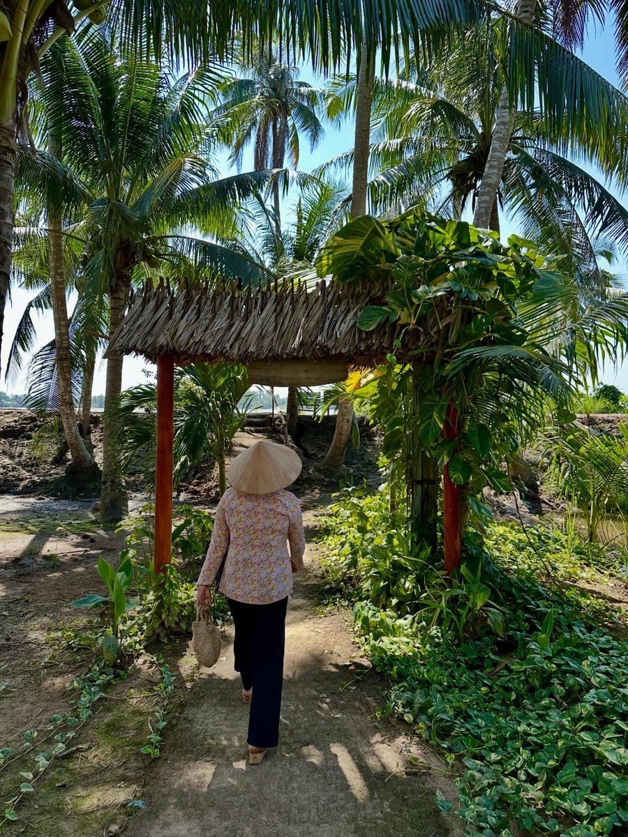CerenIseri's tweet photo. Da Saigon al Delta del Mekong: Ben Tre tra cocco e vita sul fiume, poi Tra Vinh con campagne, villaggi, isolotti e pagode khmer. Un Vietnam più autentico, lento e reale. https://t.co/rYsyuLospC