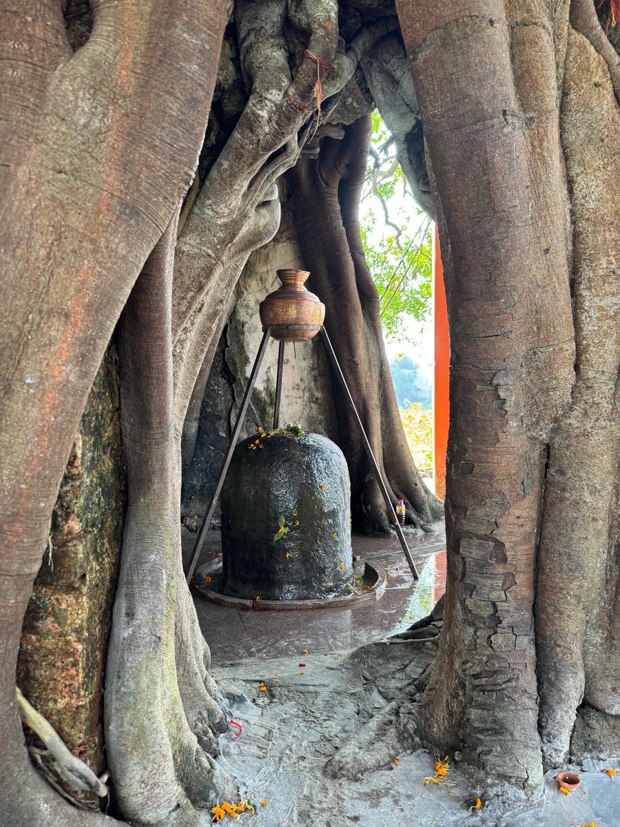 Jonathan_sdp18's tweet photo. It’s Shravan, a sacred month of devotion to Lord Shiva. These photos from Virbhadra Temple capture a simple Lingam beneath an old tree—a reminder that in India, devotion lives everywhere, not just within temple walls. https://t.co/Mj9Pn95CbE