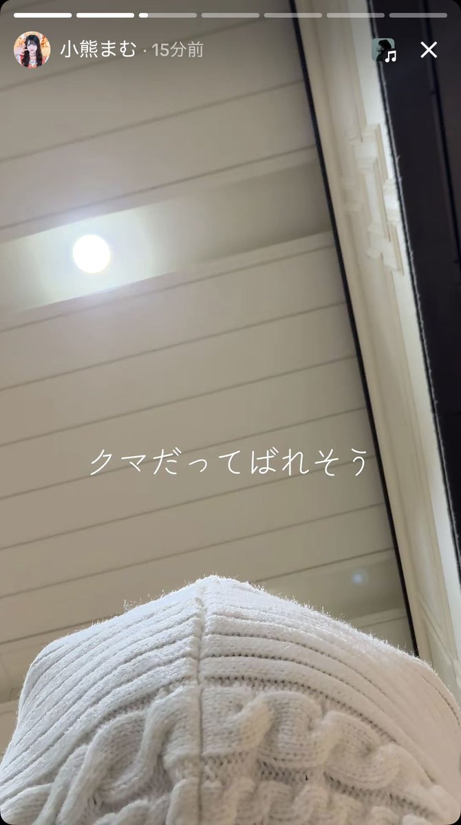 0815_hrt_mamu's tweet photo. 速報: まむちーさん遂にクマ耳を隠せなくなる🐻 https://t.co/eHD3VYslrY