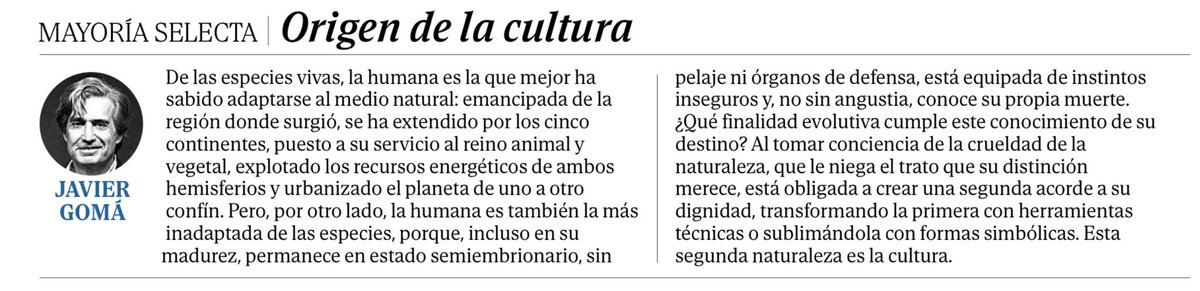 JavierGomaL's tweet photo. En papel https://t.co/tKTCpRAMRW