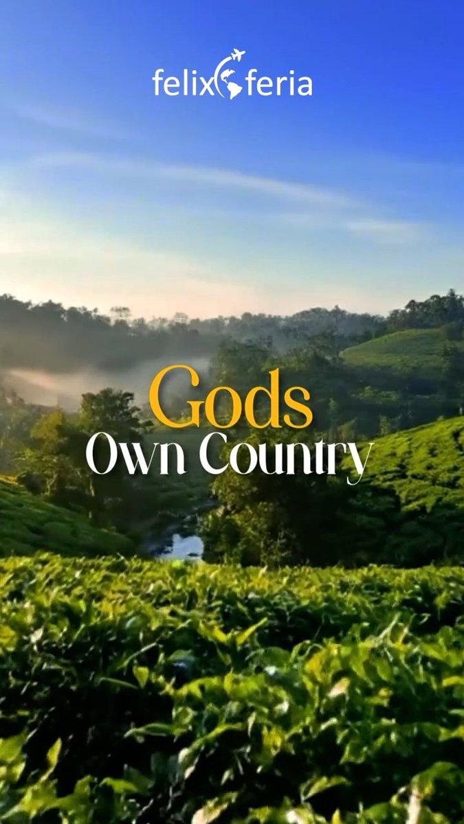 redzmacq's tweet photo. Where misty hills meet peaceful backwaters, Kerala creates memories that last. Explore Munnar, Alleppey, Thekkady, and the coast. DM Felix Feria Travel for customized tour packages and bookings. https://t.co/fBOj1pbFCe