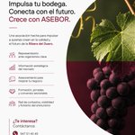 Photo by ᴀꜱᴇʙᴏʀ Ribera del Duero (@ASEBOR_Ribera)