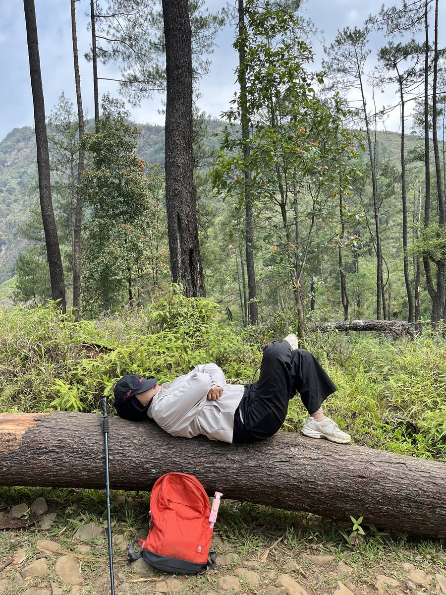 wilddfflowers's tweet photo. second summit, same feeling⛰️ https://t.co/JnyD8cdGtO