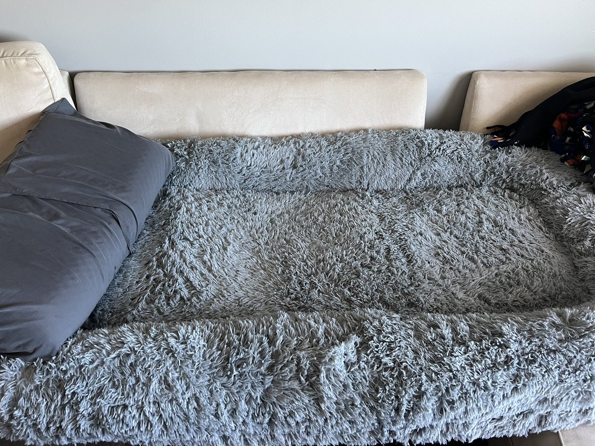 DevlockDaDragon's tweet photo. It’s not been great lately but the pet store blessed me this bed for $80. This is now my new bed. https://t.co/uOak90rzm7