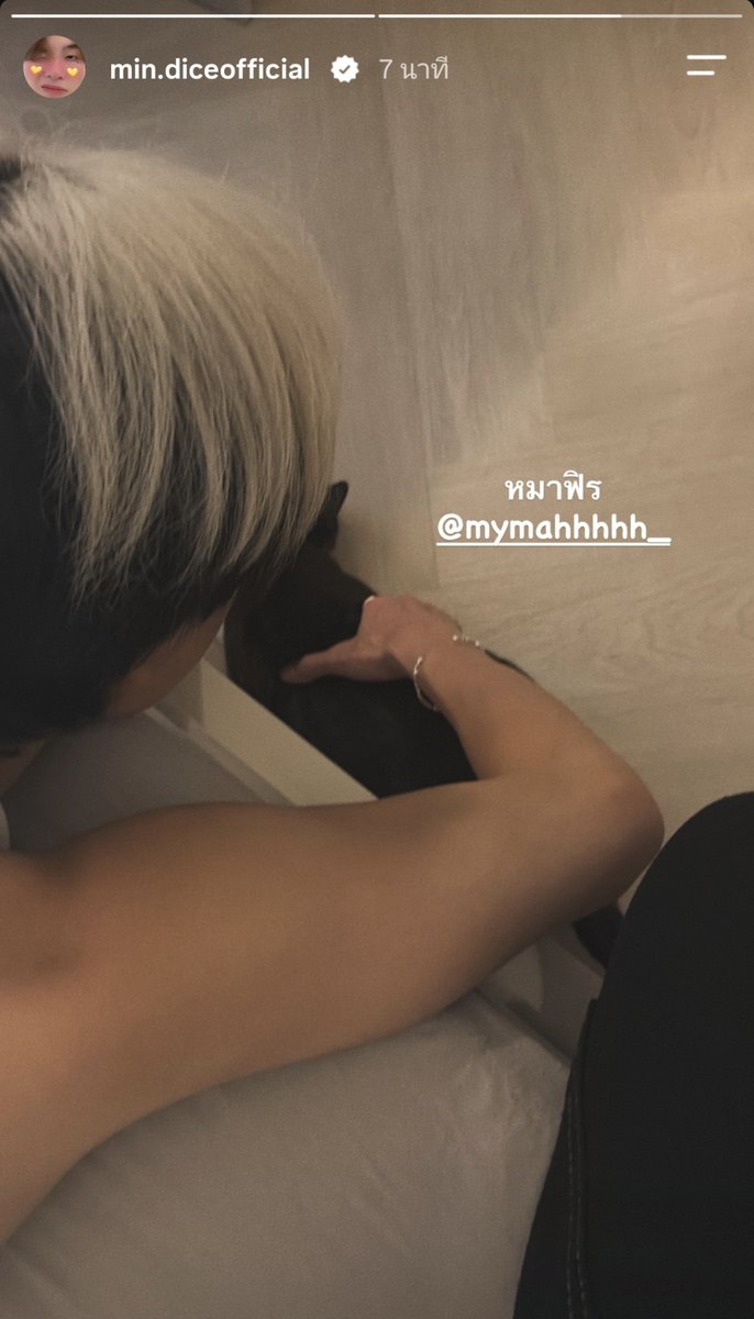 ImagineAutumnn's tweet photo. ที่ฟินไม่น่าใช่หมา น่าจะกู https://t.co/4X34rrSK2H
