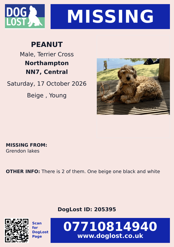 millypod1's tweet photo. 🆘17 OCT 2026 #Lost Pippa &amp; Peppa #ScanMe 
 2 Terrier Cross 
Black &amp; white Female &amp; Tan YOUNG Male
Grendon Lakes #NN7 1JW #Northampton
West #Northamptonshire
https://t.co/xZ2DyLxndK
https://t.co/gm6i4LqQSM https://t.co/R5iV0bdcsl