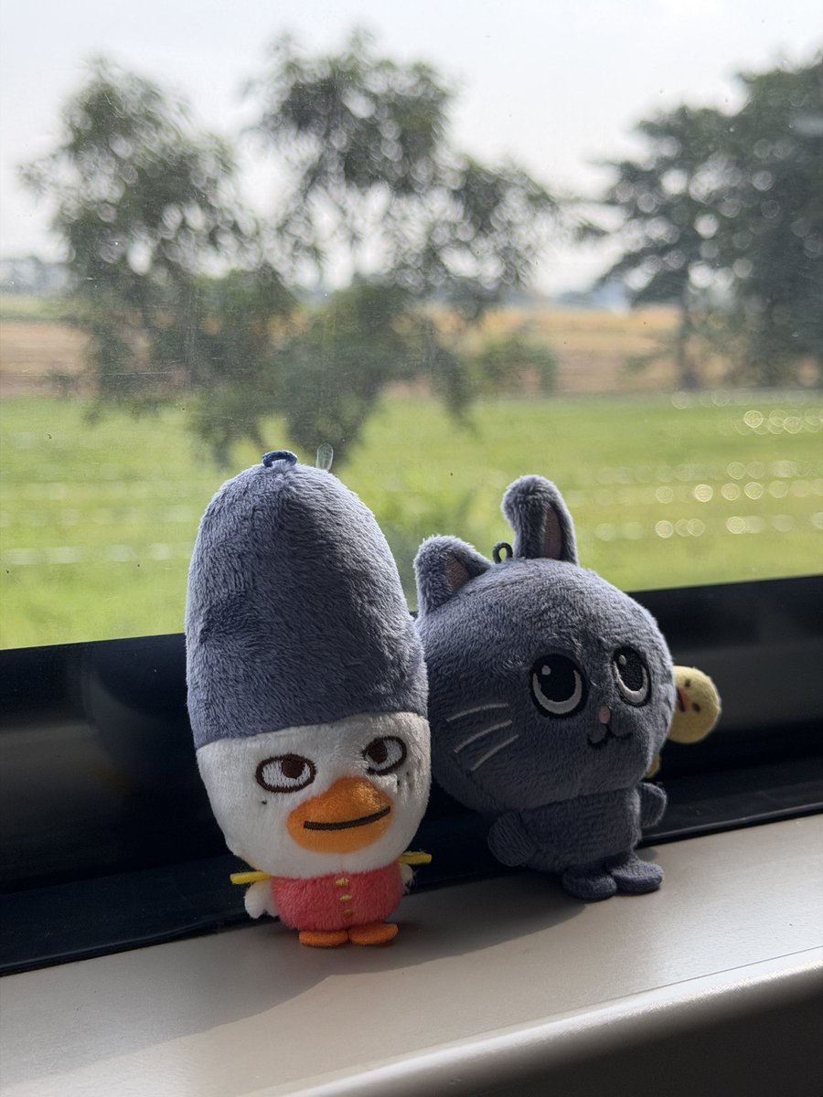 noircat_exe's tweet photo. trip to jogja 🌱 https://t.co/OfQeol2ZiO