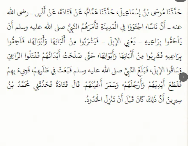 Sahel488269's tweet photo. @ghaid2_A @LstiGfinj no thanks,  I am happy being atheist and humanist. this low iq retarded religion is not suitable for me , below paragraph is from sahih al Bukharin, authentic hadith https://t.co/9fOybpSlQW