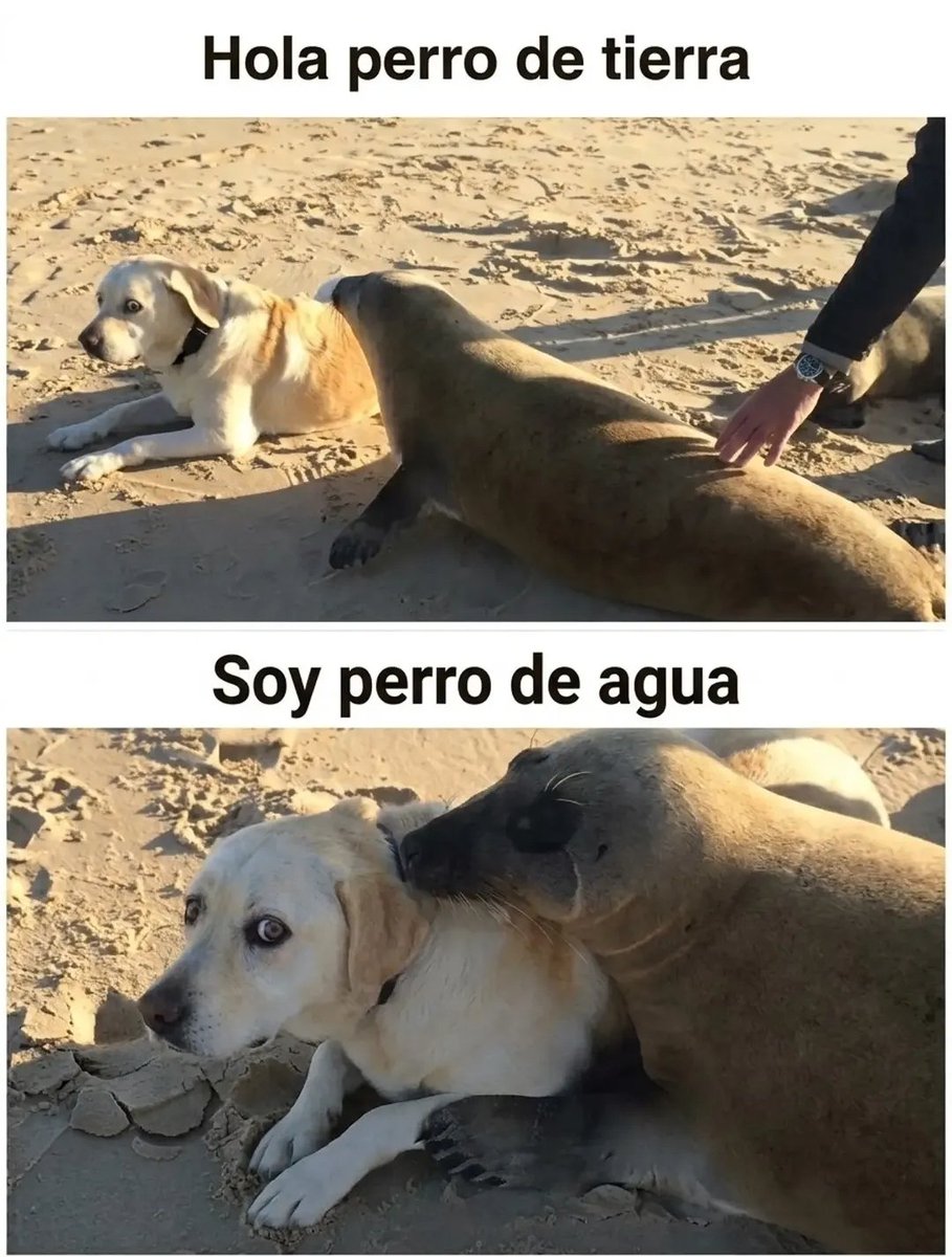 ErigolDelViento's tweet photo. https://t.co/Ea0bjeomGw