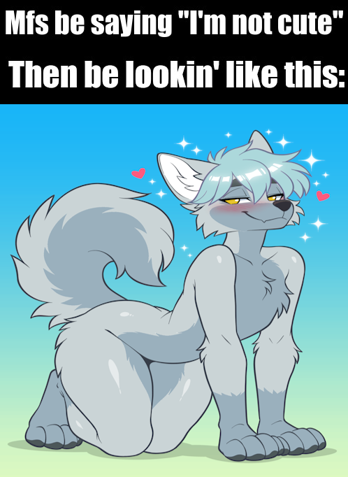 ryudawolf's tweet photo. Ryu do be cute tho 💙🐺 https://t.co/ykBCxpxeCu