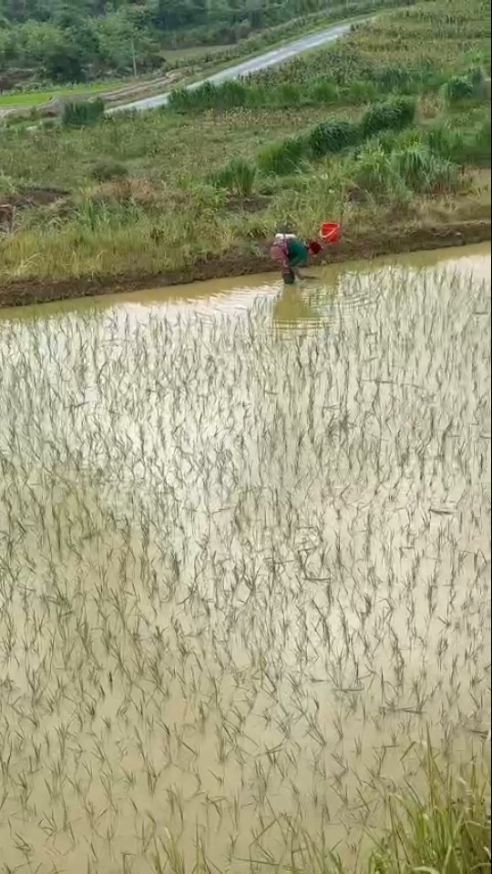FrezZSwett's tweet photo. 2 Days 1 Night Ha Giang Jeep Tour: Explore Quan Ba Heaven Gate, Tham Ma Pass, Hmong King’s Palace, Ma Pi Leng Pass, and Nho Que River in a 4x4 adventure. https://t.co/2QPCBKYShi