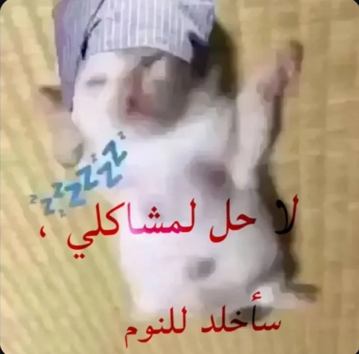 Nada_land's tweet photo. تعبن https://t.co/ROWWJ7N0HU