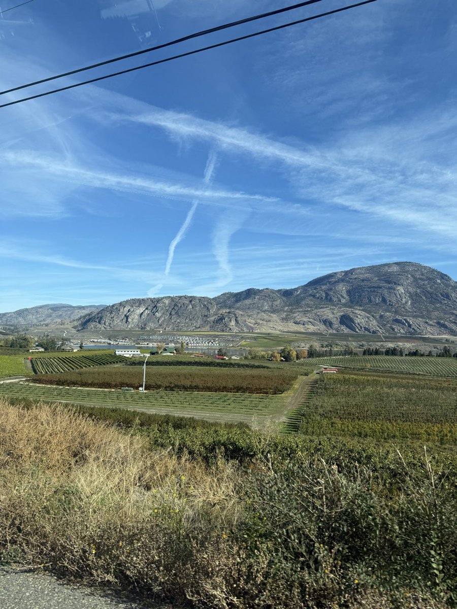 rmbrtherepublic's tweet photo. @_Keith_Pomeroy @One_BCHQ Keith get out there and talk to everyone! 
When you get in, please deal with this whacky fake cloud spraying. https://t.co/wYismWbV0l