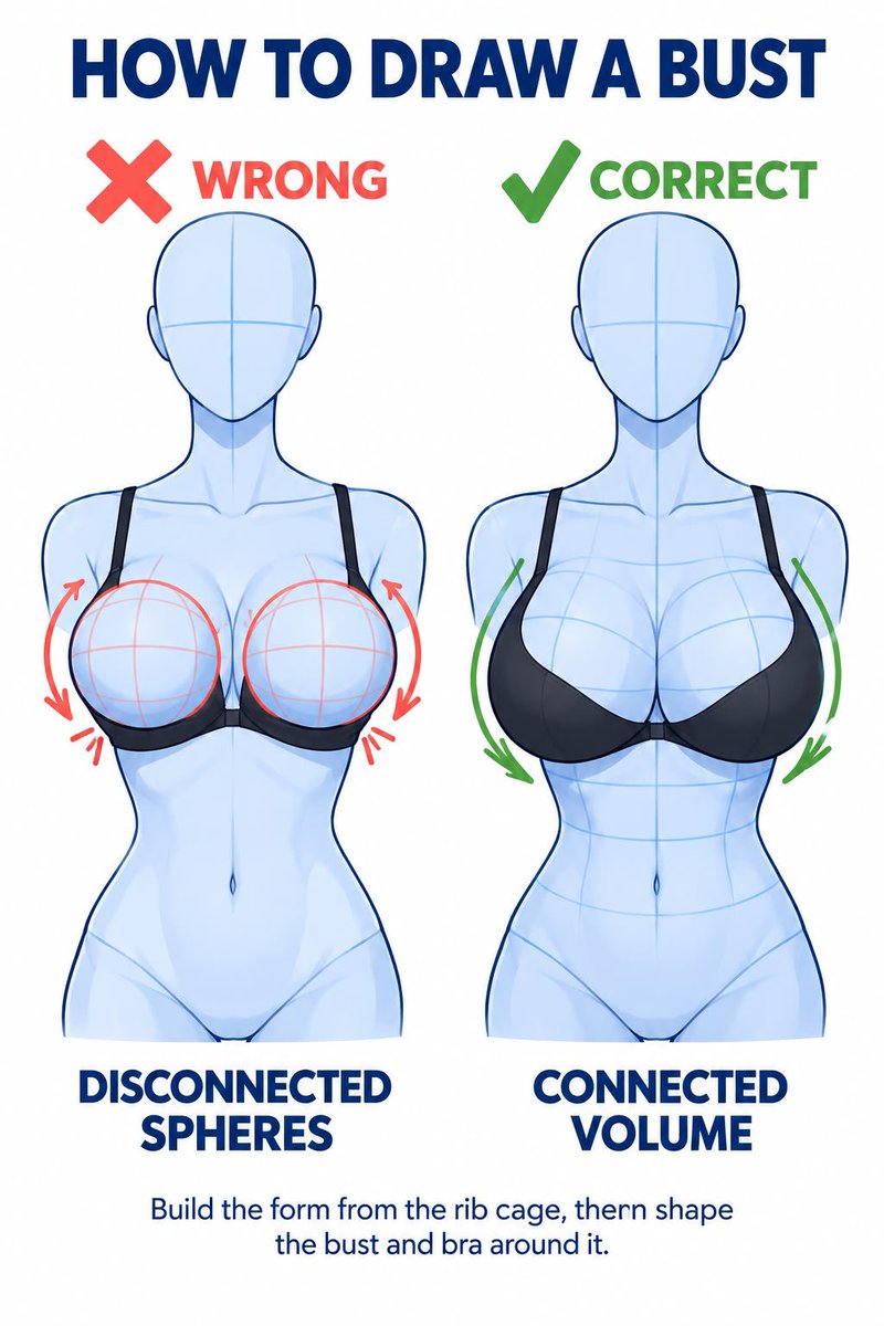 sodaladyx's tweet photo. how to draw a bust! https://t.co/OwYEWs1EVq
