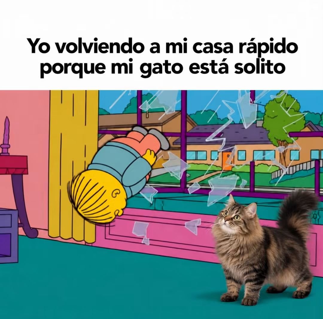 Animalesaprieto's tweet photo. https://t.co/pWIqpZYpxo