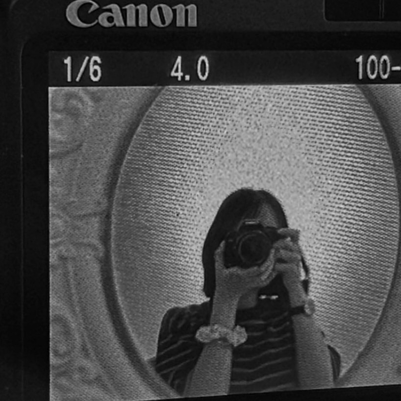 blackwoodd's tweet photo. Hello, this account celebrates beautiful things and memorable moments captured through a camera. Still, I believe the best lenses are human eyes. Enjoy life. Blueming and peace. https://t.co/QK8mtWy6W3