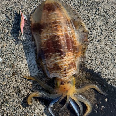 hevr4g's tweet photo. #新しいプロフィール画像 https://t.co/ZXLyXGISKa