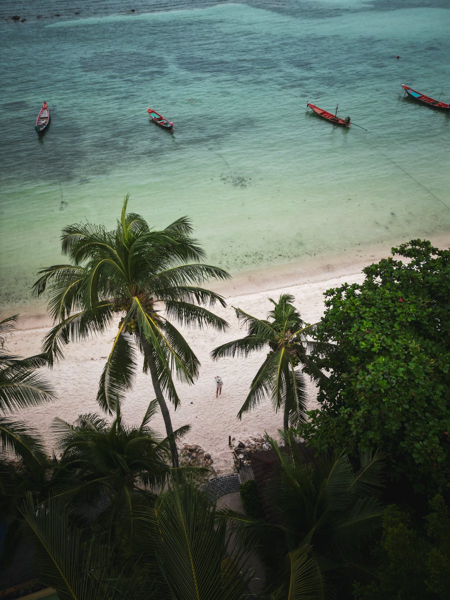 Caprichula's tweet photo. 3 beaches you can’t miss in Koh Phangan: Salad Beach for calm, clear water; Haad Rin for vibrant energy; Hin Kong for unreal sunsets. One island, three completely different vibes. Save for your Thailand trip. https://t.co/RVUltSb7cy