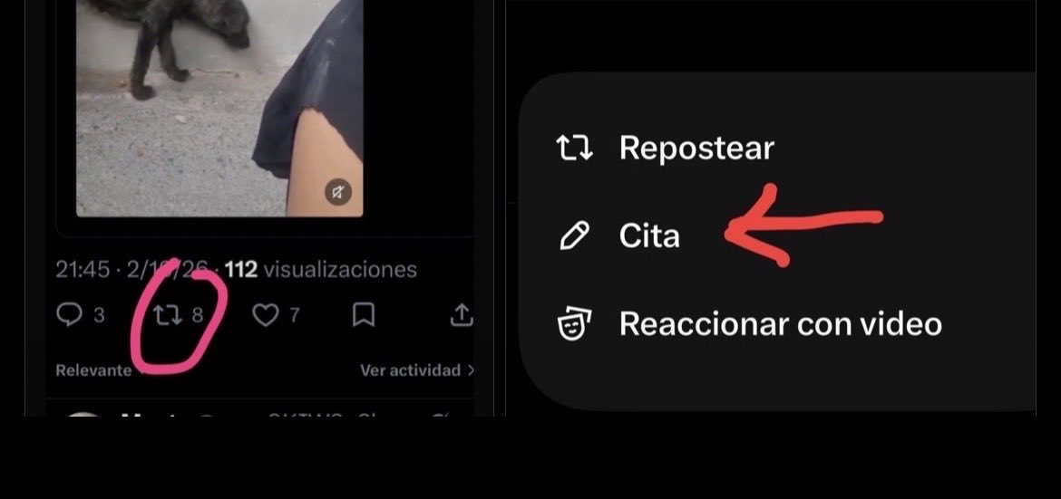 Anazacco's tweet photo. Dicen que soy muy bueno pero nadie se fija nunca en mí, se llevan a otros😢
Le difundimos?🙏🏻🙏🏻
@VillaverdeMu @jacamp98 @OpenEye95053629 @mimamga @marisa84157935 @consusan66181 @estheryjulio @panthalassa63 @luiscah @pacotolosa @hectormusic8686 @aliccitana
👇🏻 https://t.co/c4E4jotSSR