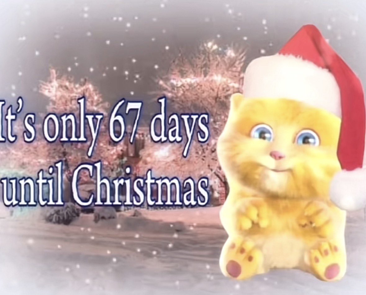 literallymecats's tweet photo. https://t.co/RgVJDqzeO4