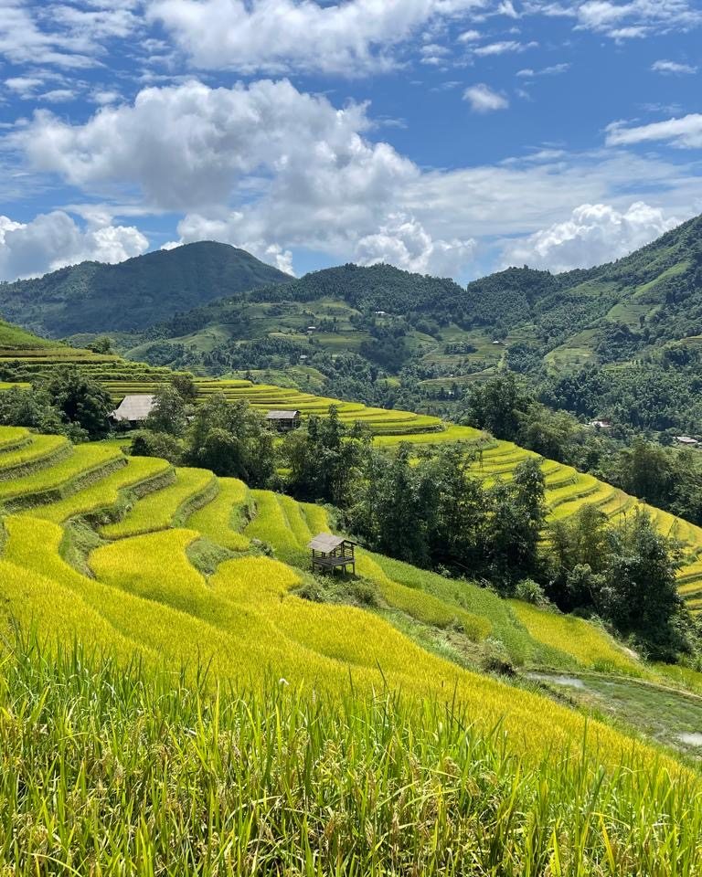 arzu_frt's tweet photo. Vietnam awaits, 10-21 April 2027. Trek Hoang Su Phi’s rice terraces, forests and tea plantations, stay with local villagers, and experience Hanoi and northern Vietnam’s unforgettable landscapes. https://t.co/yFvRbP1uIW