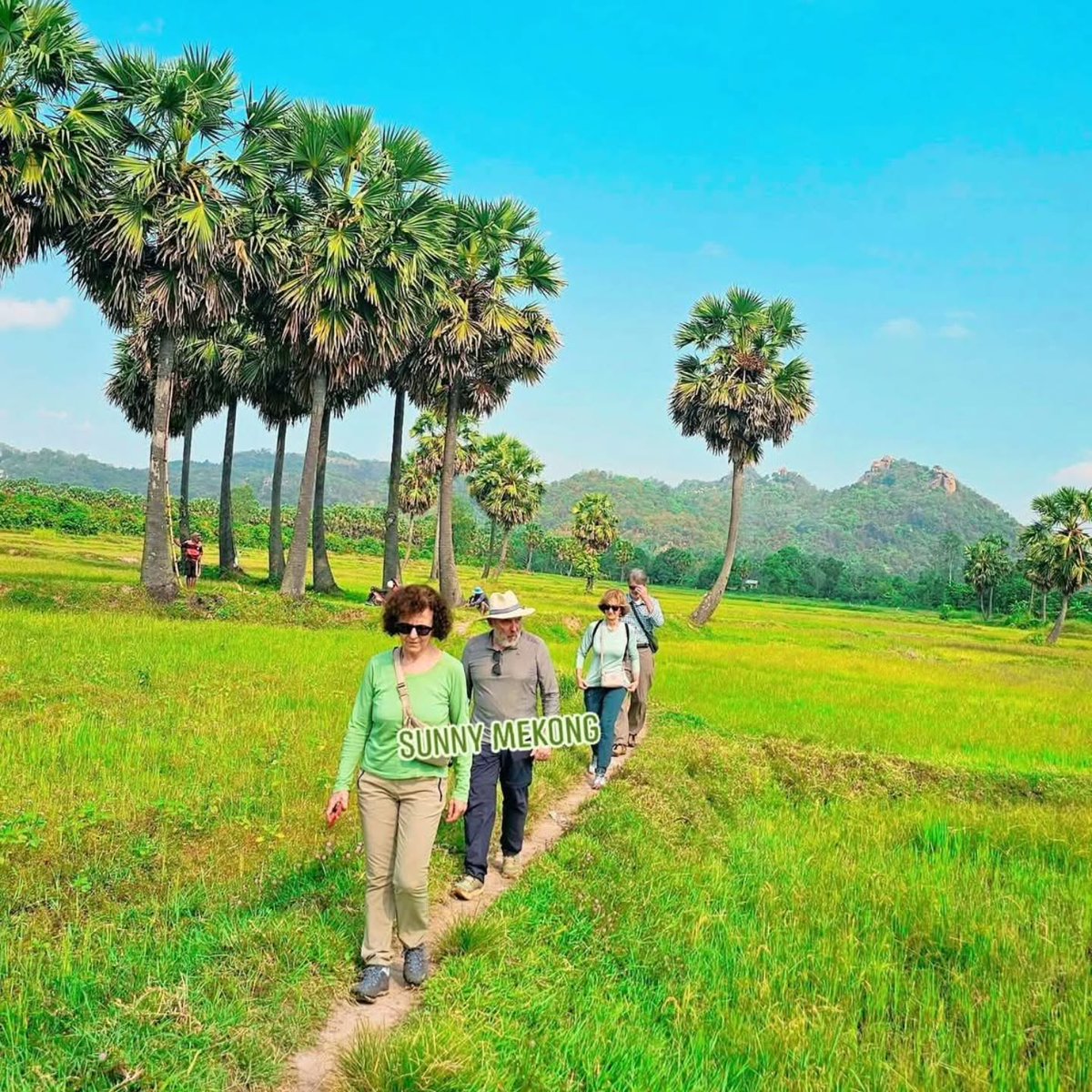 JonaandyMc's tweet photo. In quiet palm fields where rice grows day by day, life slows down. The Mekong may not be loud, but its depth stays with you long after you leave. https://t.co/9eReR3sLKZ