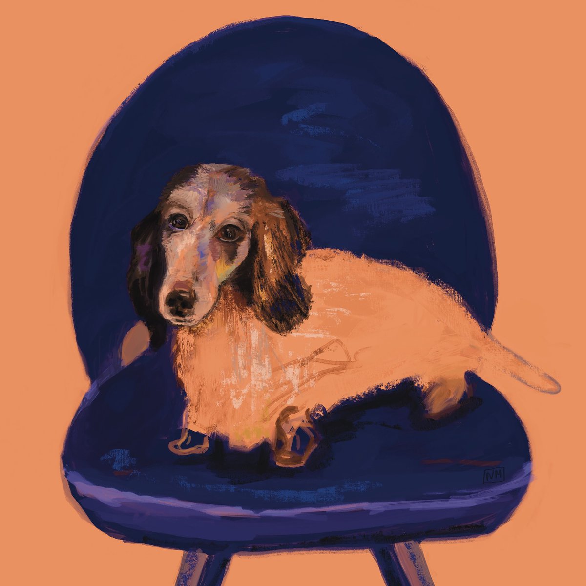 abrilth's tweet photo. Playing with Colors — Moumoute © Nathalie Magniez, Paris, Nov 2025. Purple from the music album « COLORS » by Max Morton and Schukell. https://t.co/cBTWWlyFSu