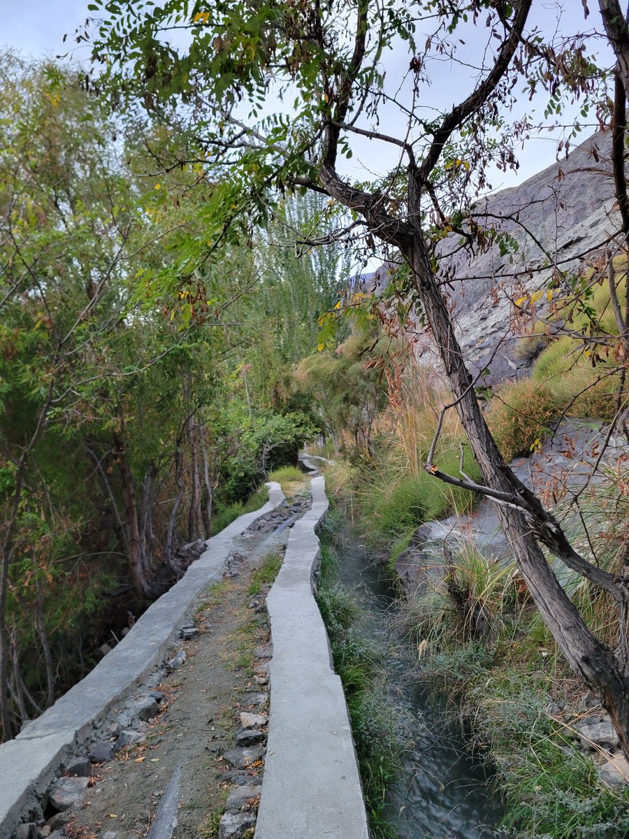 aliy_ehsan's tweet photo. Colors of autumn 🍁🍁🍁 in Danyore Valley, Gilgit district, Gilgit-Baltistan. https://t.co/MEPRSjwTfL