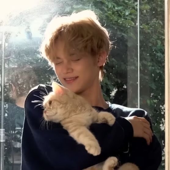jjuniesito's tweet photo. if jjunie with cats isnt the cutest most adorable thing in existence then i dont know what tf is https://t.co/j0IjiuUyG3