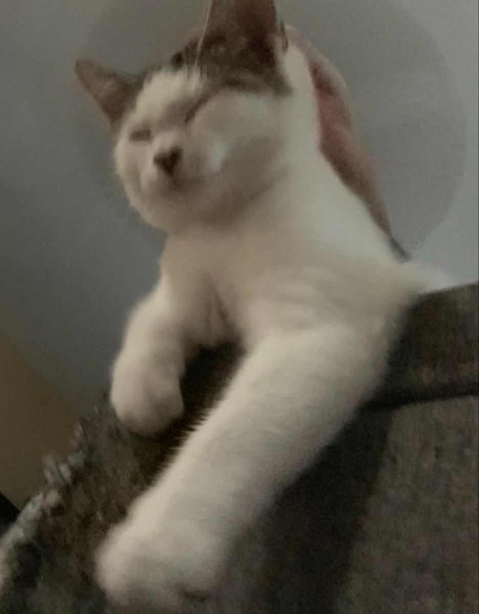 SBBJack21's tweet photo. Taking some selfies big smile 😸 https://t.co/alUOFFA8xX