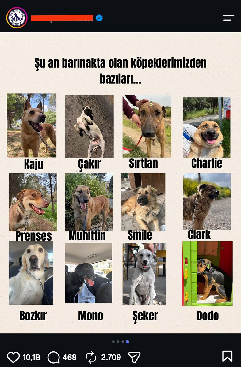 7273_Dex's tweet photo. PKK'lı teröristlerin LEŞ tablosu 😂 https://t.co/hwa8zdqzvV
