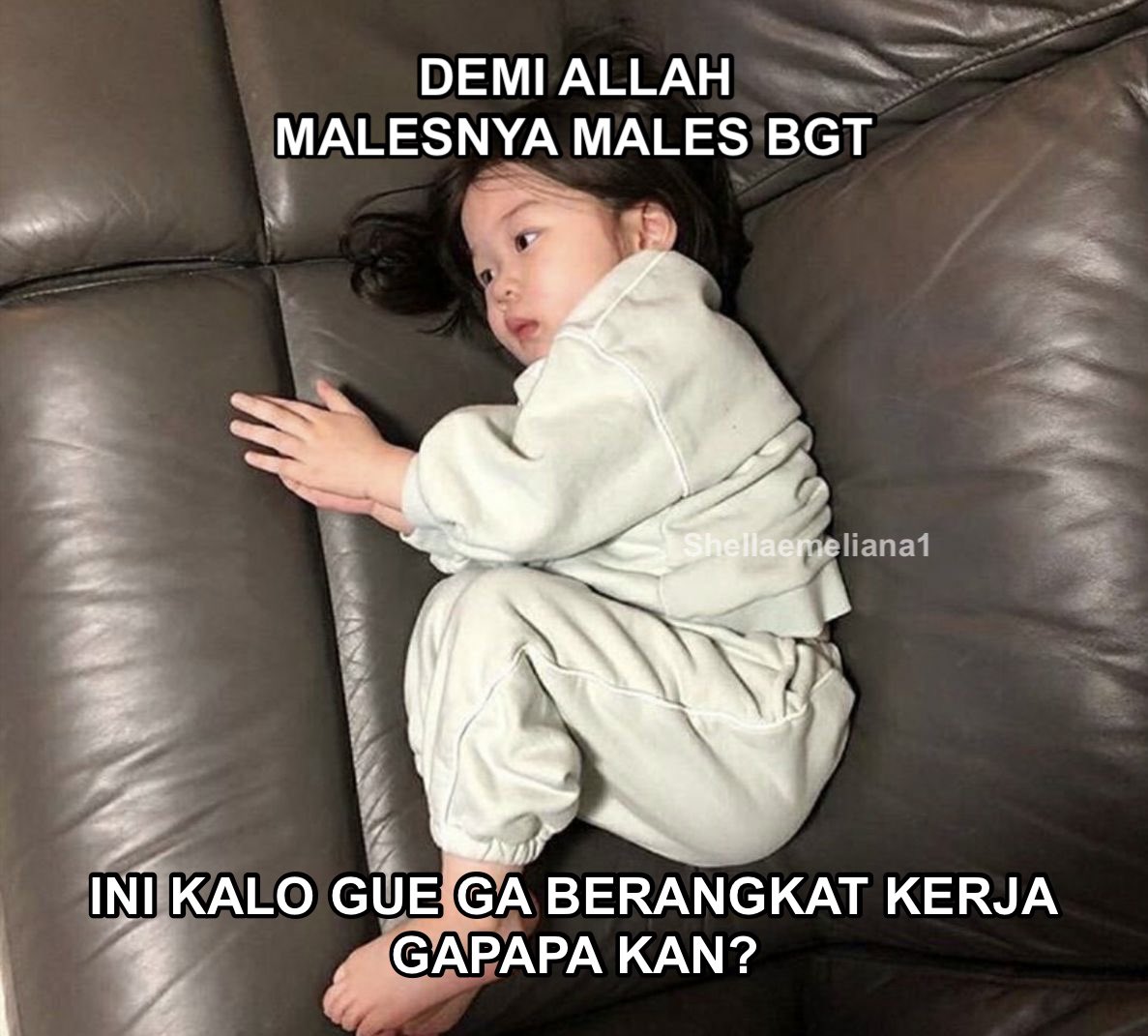 Shellaemeliana1 tweet picture