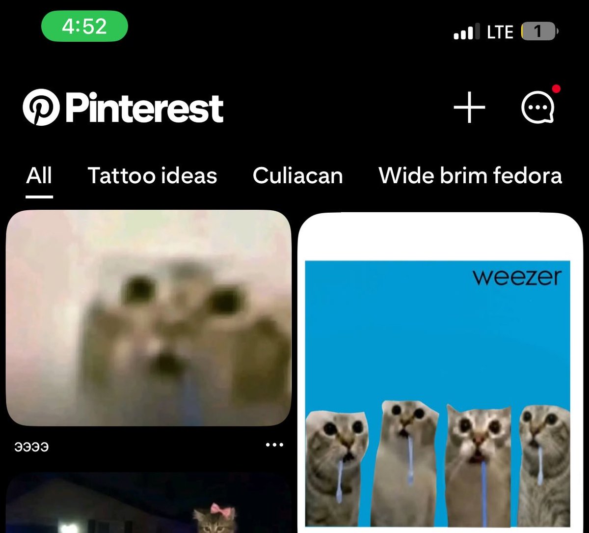 Clutch0x_'s tweet photo. Àt 4:49 i was just telling my groupchat this, 3 minutes later i open Pinterest ànd see à drooling cat meme, i click on it and it’s a drooling cat pfp.

Aint no cap in my rap, literally true af https://t.co/AJTQLtwMRD