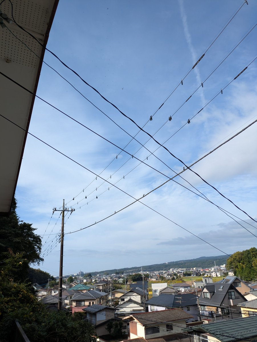 cheebow0150's tweet photo. おはようございます！若干雲がでてますが、気持ちのいい朝です。今年は秋らしい秋を堪能できてうれしいですね😊

新しい1週間の始まりです
今週もはりきっていきましょう✊ https://t.co/94PAZqQqBu