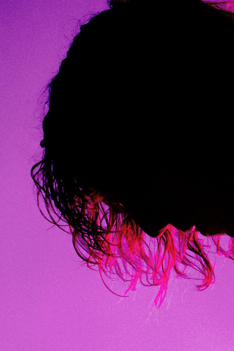 geese_band's tweet photo. https://t.co/LFn9DQ8p6W