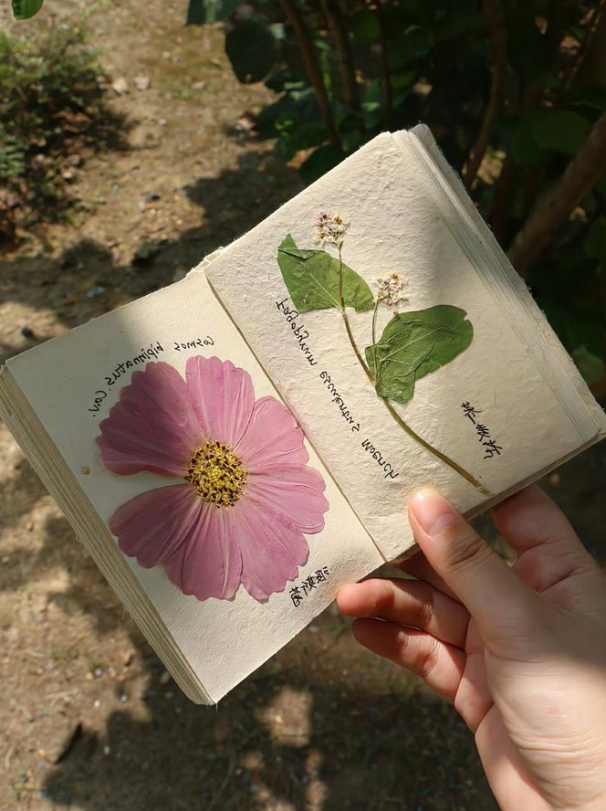 petalesblancs's tweet photo. https://t.co/0aHQOiAv4C
