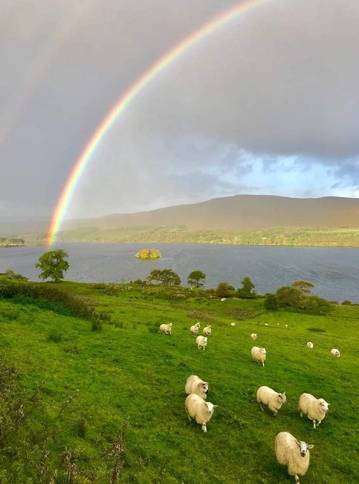 echoesofworld's tweet photo. Ireland https://t.co/SfQJ7MM6Vl