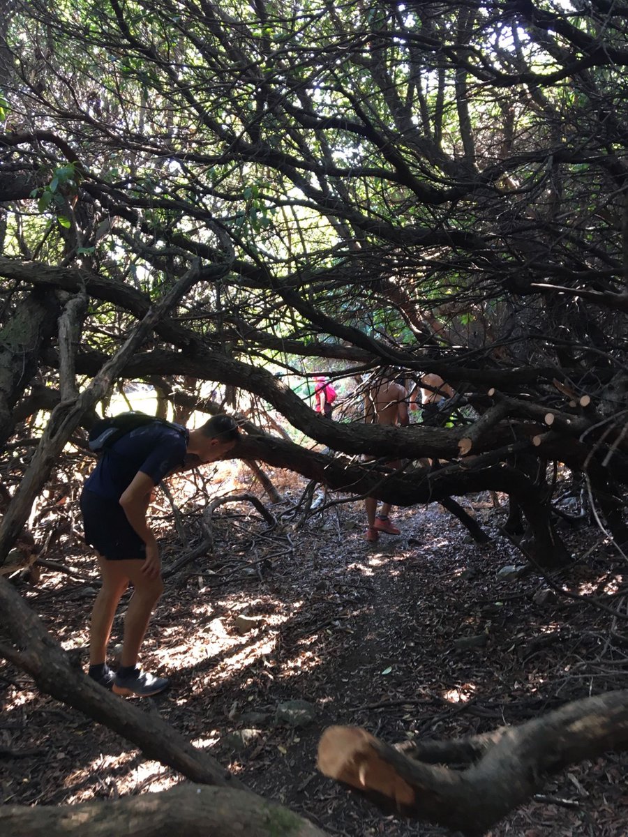 chavezvere83's tweet photo. Lin Wenlai scratches an itch mid-hike in the woods 10 mins ago ； https://t.co/NGFJmMNnJh