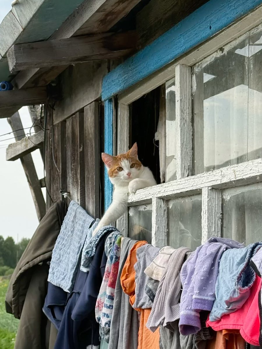 catsforlesbians's tweet photo. lesbians that are endlessly doing laundry https://t.co/zFV3lt3Y7U