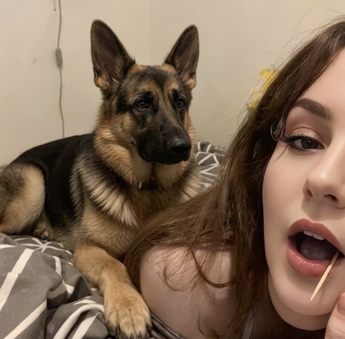 KnottyPup_Slut's tweet photo. What dog-breed do you think can satisfy me 🐶🐾📥

💎 https://t.co/lxlIg6oYwx 💫

#dogknotting #dogbitch #knotty #k9girl #doggirl #artofzoo #denisefrazier #nsfwtwt https://t.co/1SfDwBgdJm