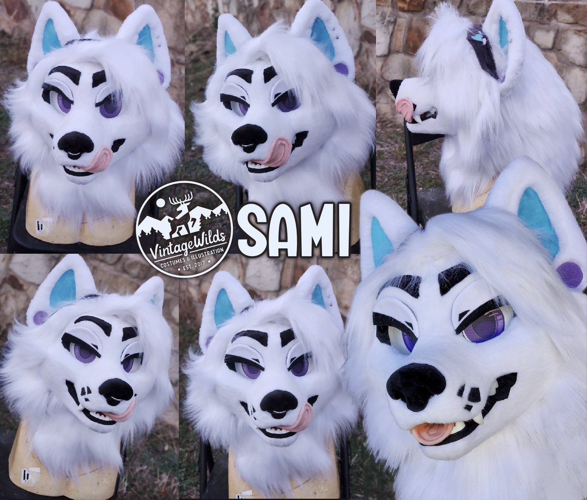 VintageWilds's tweet photo. Sami the samoyed! 🩵 https://t.co/3oBVhzoDT7