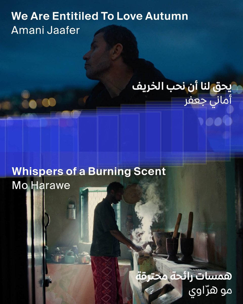 DohaFilm's tweet photo. سعداء بالإعلان عن قائمة الأفلام المشاركة في المسابقة الدولية للأفلام القصيرة بمهرجان الدوحة السينمائي 2026
#DFF26 https://t.co/DXinoMcnSJ