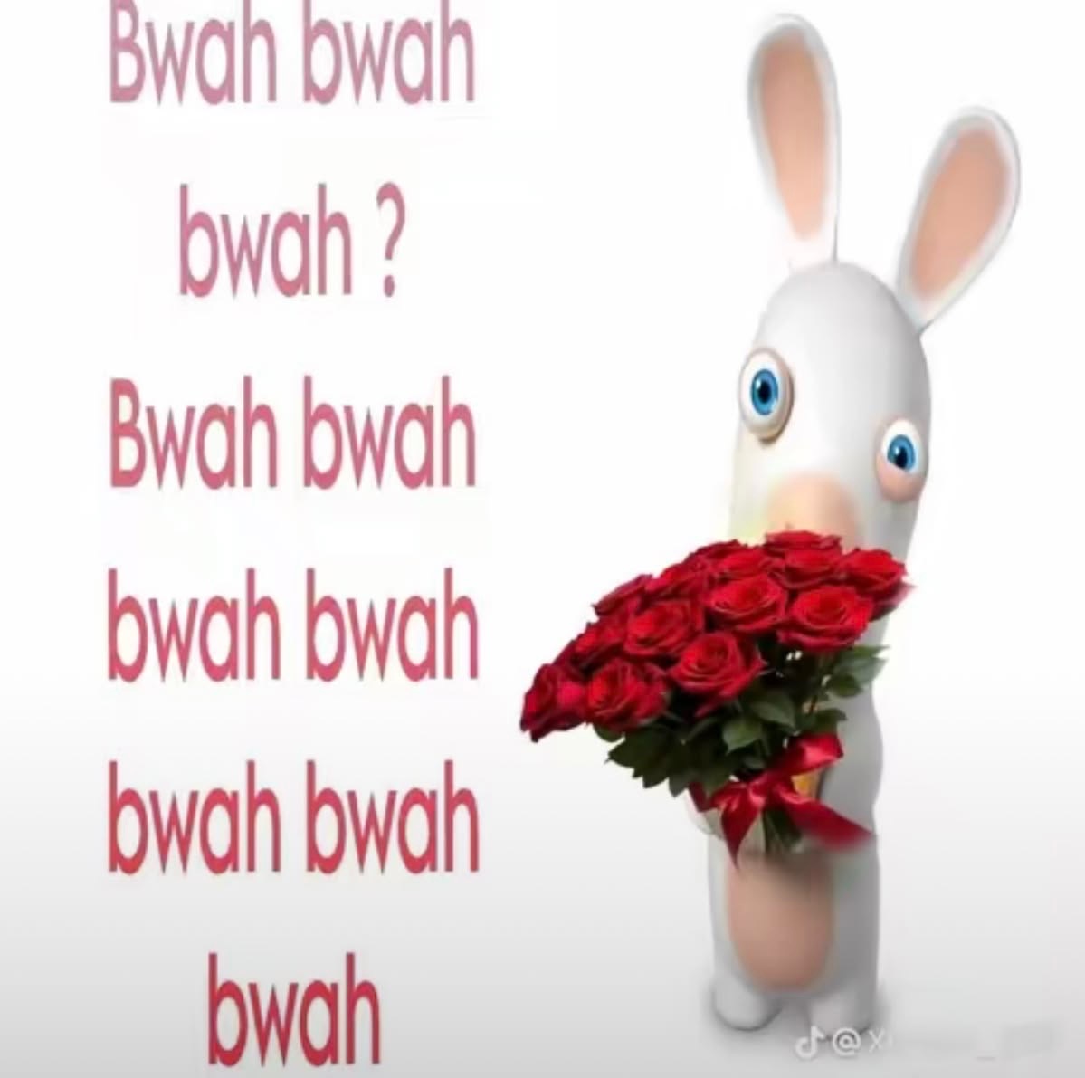 tagyourwho's tweet photo. bwah bwah? https://t.co/mtzHXzmjT8